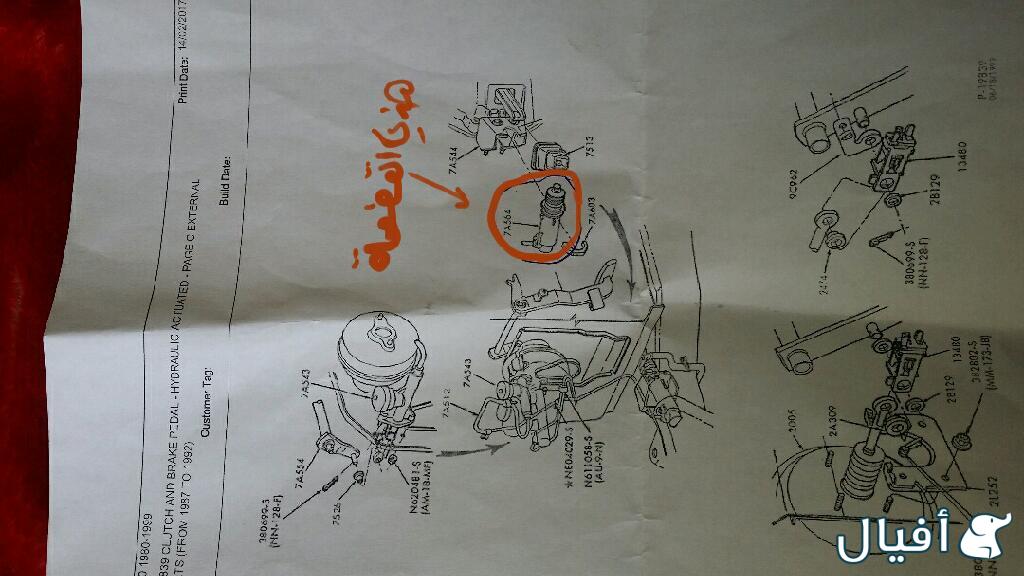 اسلندر كلتش تحت