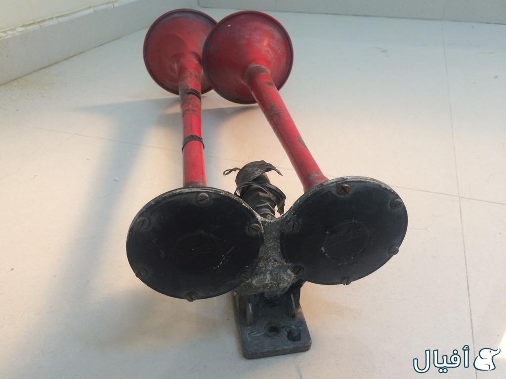 هرن باصات (نوعه رجاج)