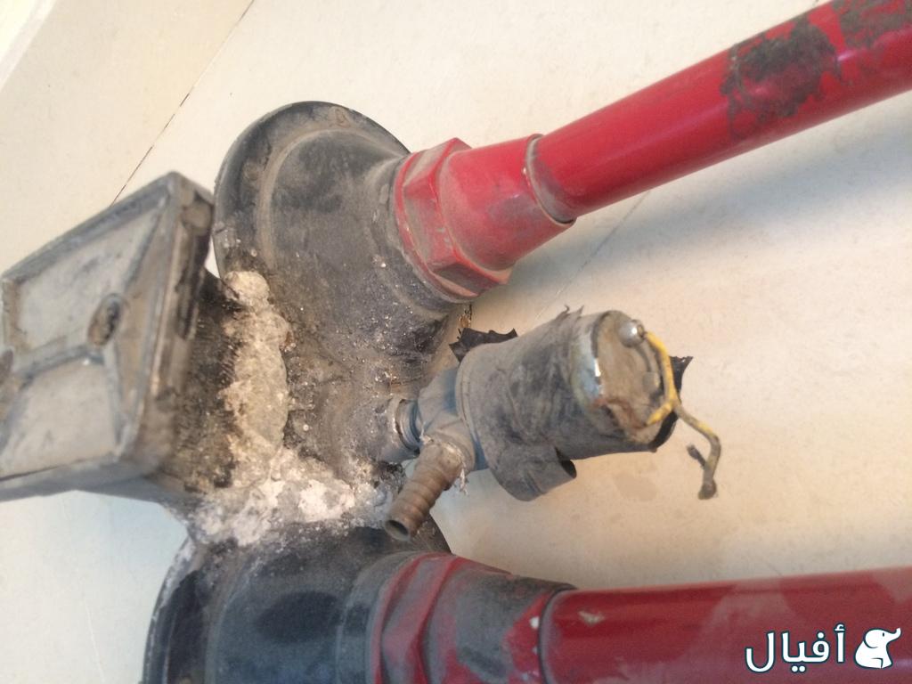 هرن باصات (نوعه رجاج)