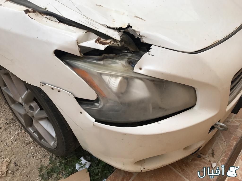 انوار زونون