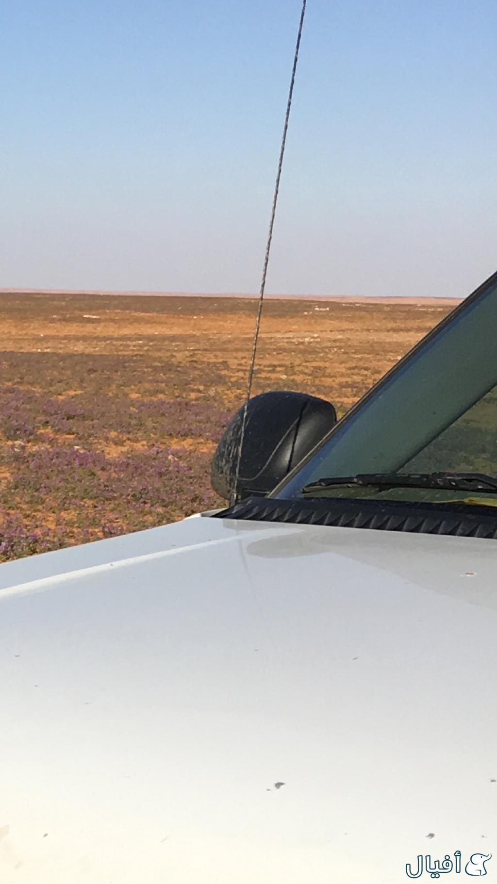 مرايا جانبيه جهة الراكب الايمن