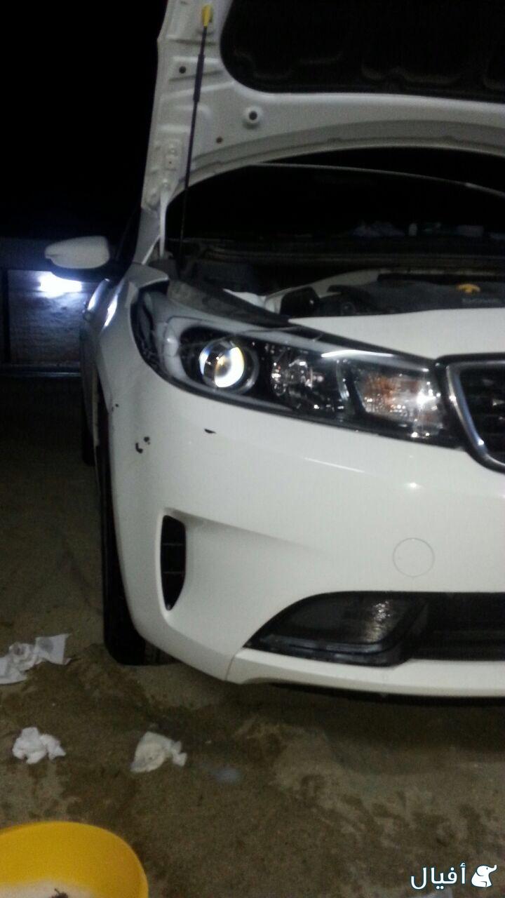 نور امامي يمين