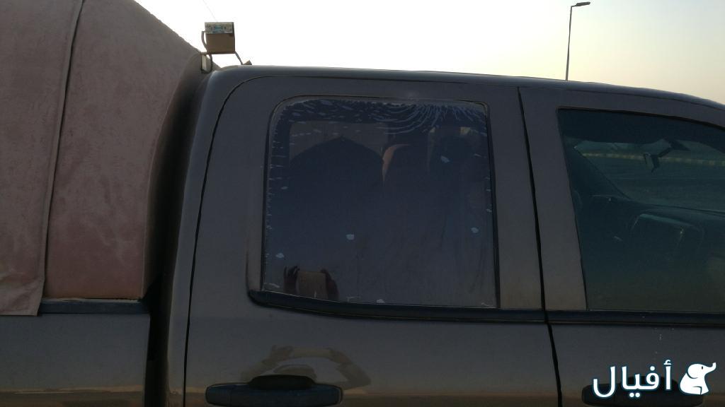 زجاج الباب الخلفي زجاج عددواحدزجاج