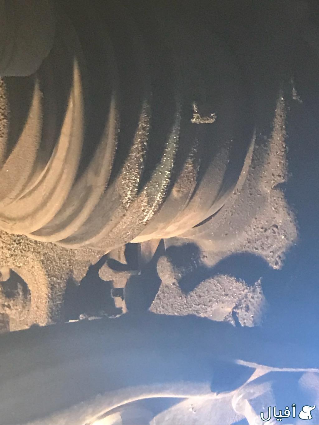 جلدة عكوس يسار خارجي