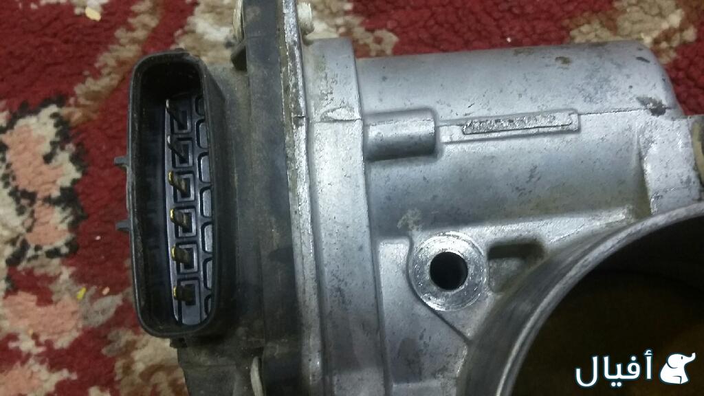 منظم دعدعسة