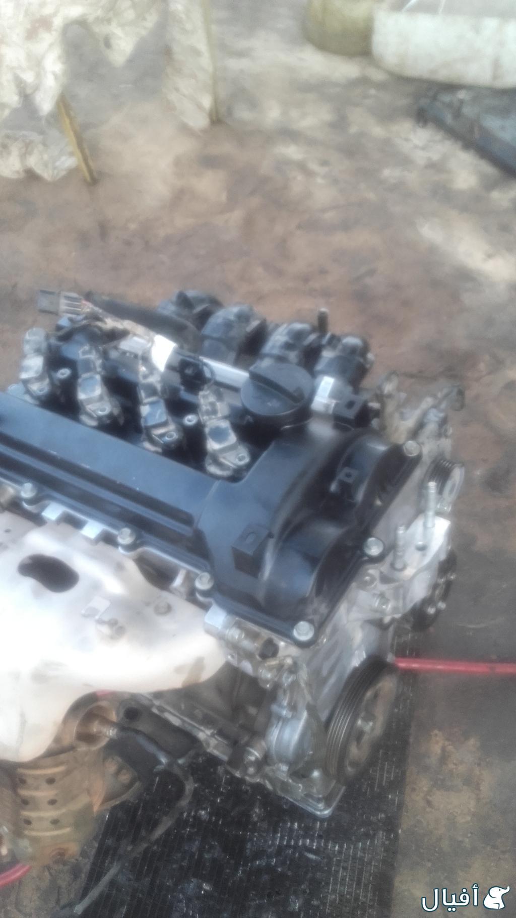 مكائن  اكسنتات  وسوناتا   والنترأ